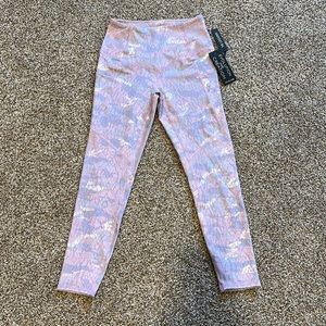 Evolution and Creation